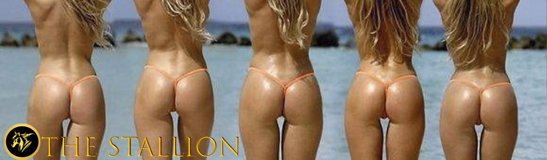 The Stallion [v0.20] [Horny Saint]
